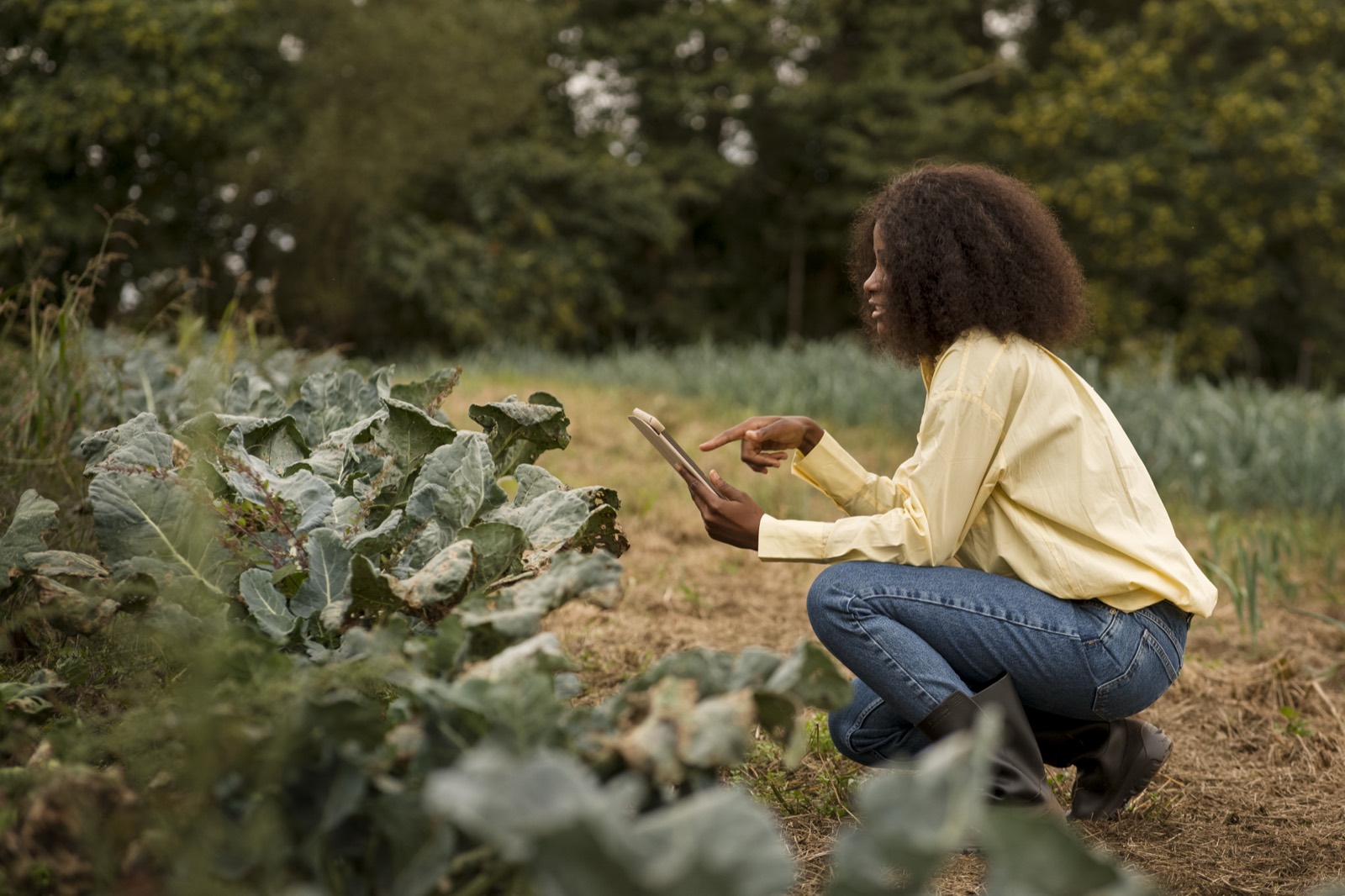 Farmer checking her crops with a tablet